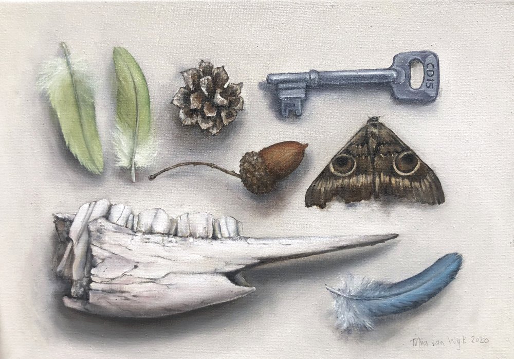 Mia van Wyk - Jawbone with key moth pinecone and feathers